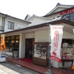 法隆寺のランチは柿うどんと柿の葉寿司