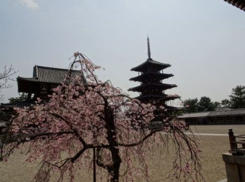 五重塔と桜