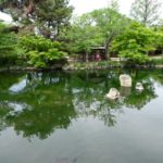 京都市円山公園のスッポン