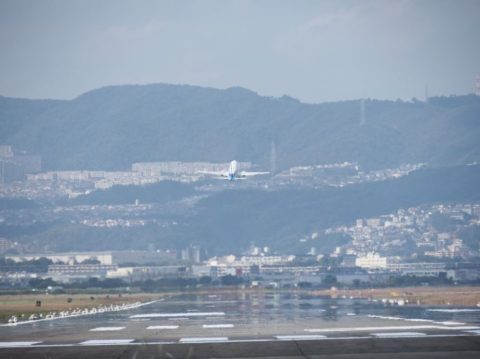 千里川土手飛行機