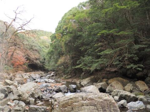 摂津峡散策ルート