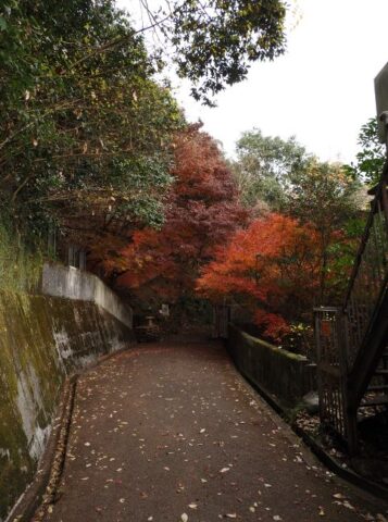 摂津峡散策ルート