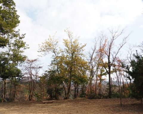 摂津峡散策ルート