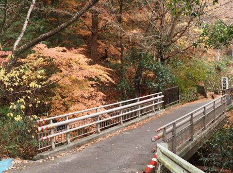 摂津峡散策ルート