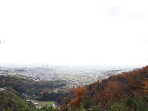 摂津峡展望台の眺望