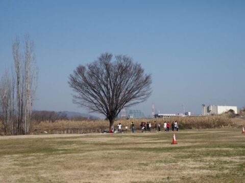 淀川河川敷